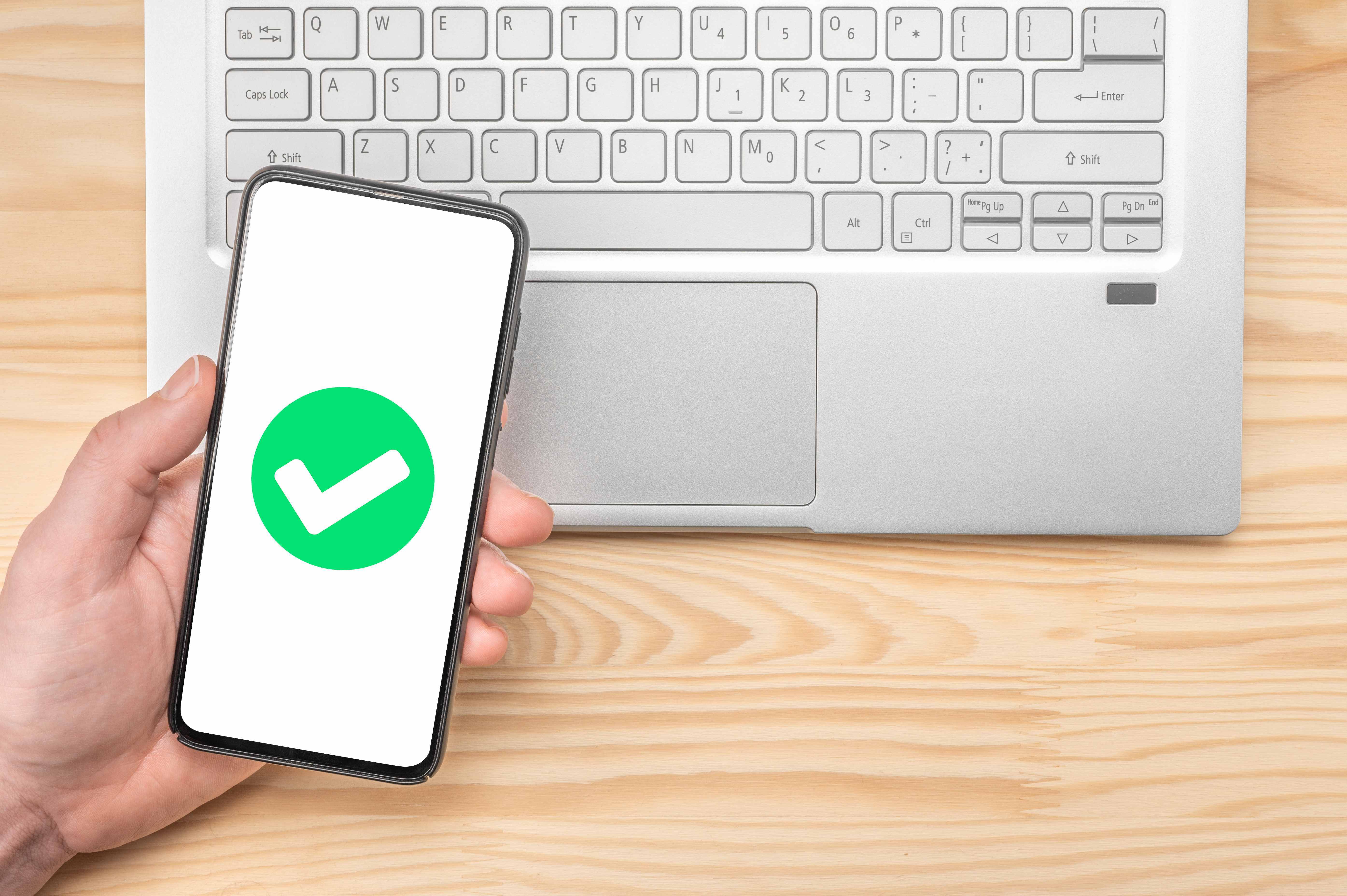 Одна серая галочка рядом с отправленными сообщениями
